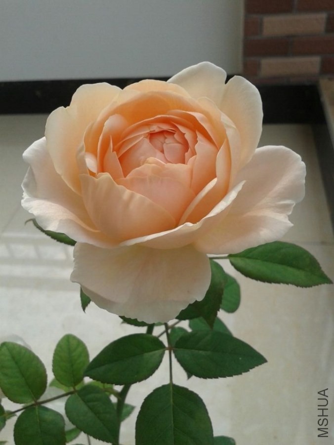QQͼƬ20140502164602.jpg