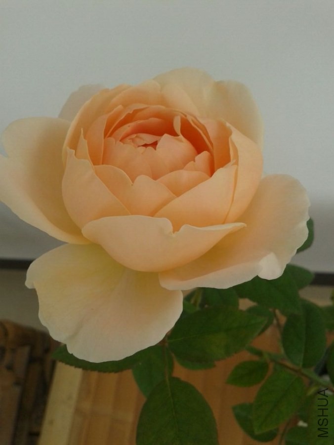 QQͼƬ20140502164609.jpg