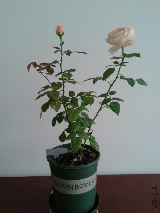 QQͼƬ20140502164840.jpg