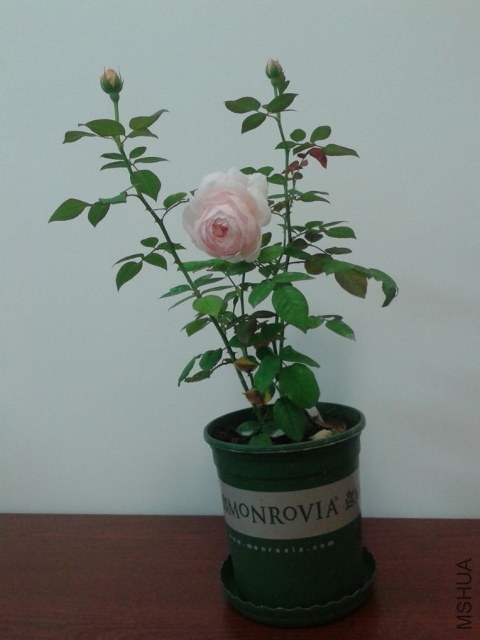 QQͼƬ20140502165449.jpg