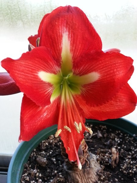 20140502_180741.jpg