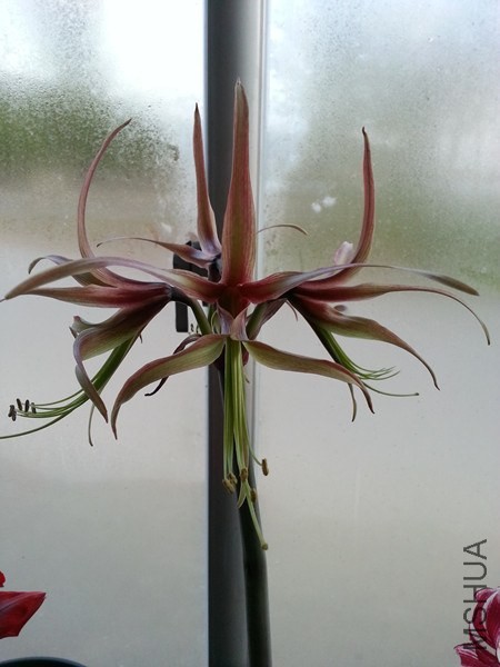 20140502_180808.jpg