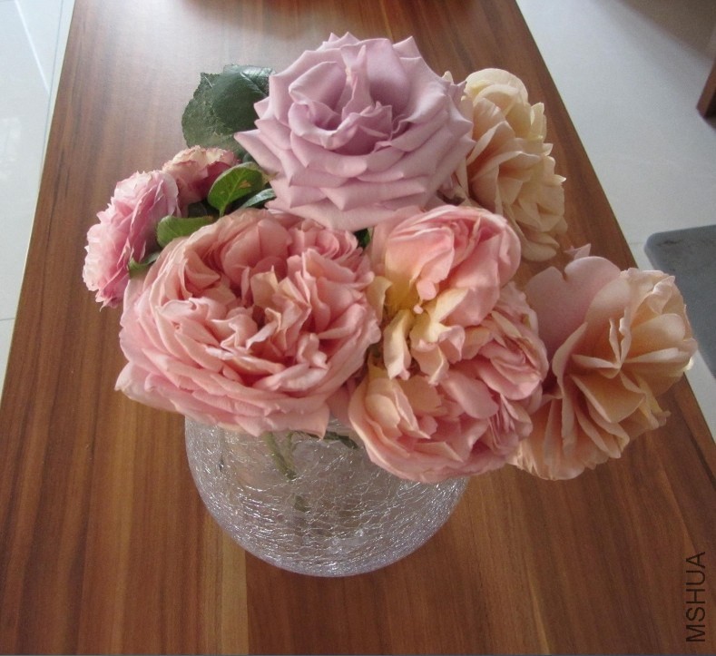 ���ǲ²¶�������Ʒ��