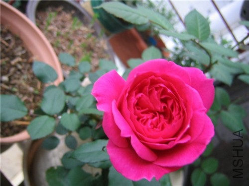 ��֪�����¼�