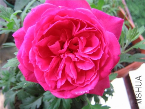 ��֪�����¼�2