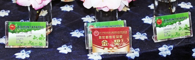_DSC9907-MS-A.jpg
