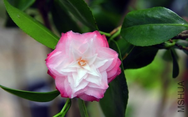 _DSC5269_edited-1.jpg
