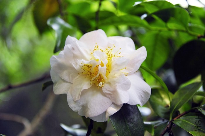 _DSC5276_edited-1.jpg