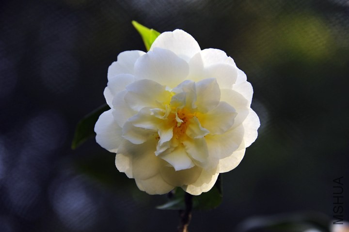 _DSC5281_edited-1.jpg