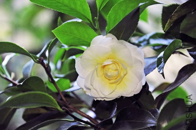 _DSC5295_edited-1.jpg