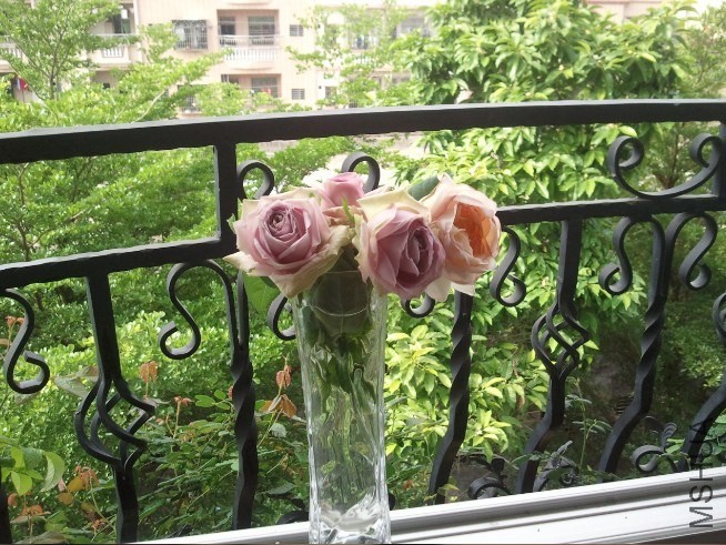 QQ��ͼ20140503090759.jpg