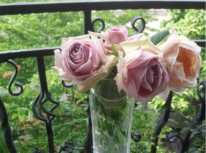 QQͼƬ20140503090507.jpg