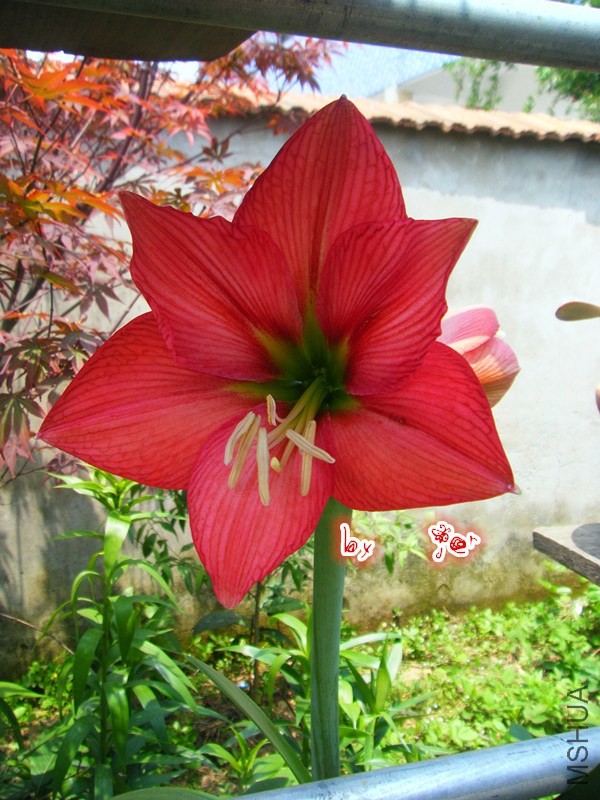DSCF9672_����.jpg