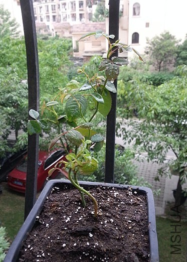 201405��.JPG