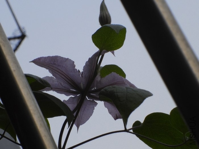 ���Σ���ֻ����ô����