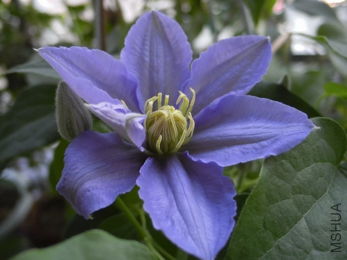 ��������