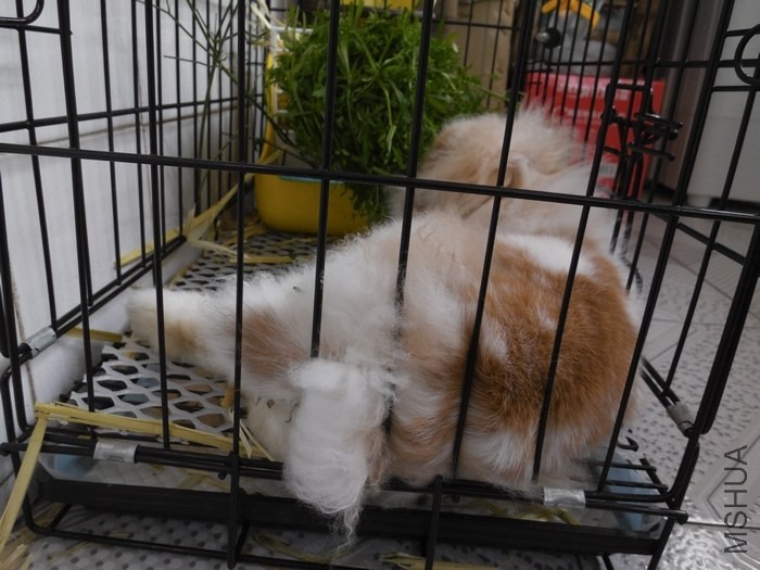 �Ա��ˣ���ź�ɻᣬ��������