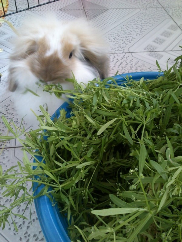 ���Ŀź�����˵���ܿ�����ѹ�أ����������Ҳ�3���´�ѽ����ô���Ҫ�����㣿��