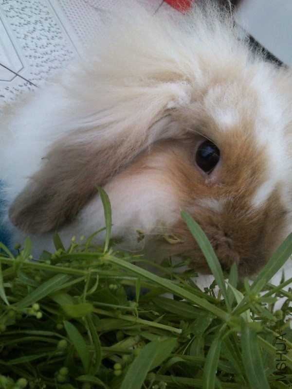 ������ź�㣿