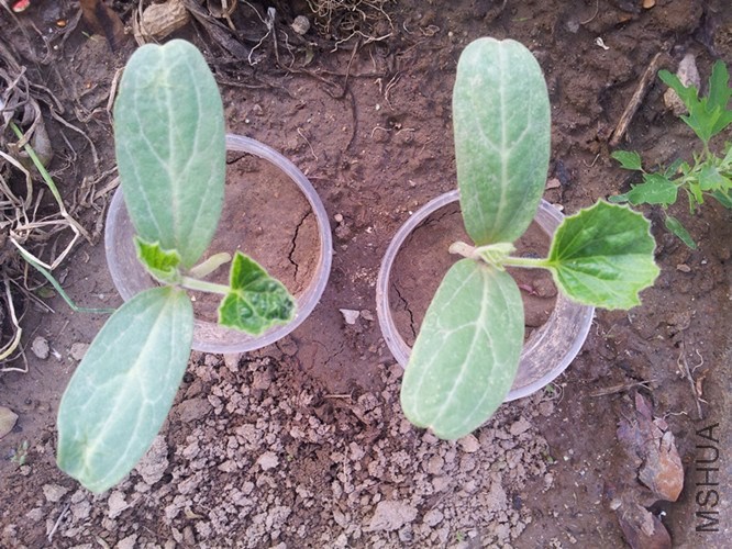 5��1�ջ��úõġ�