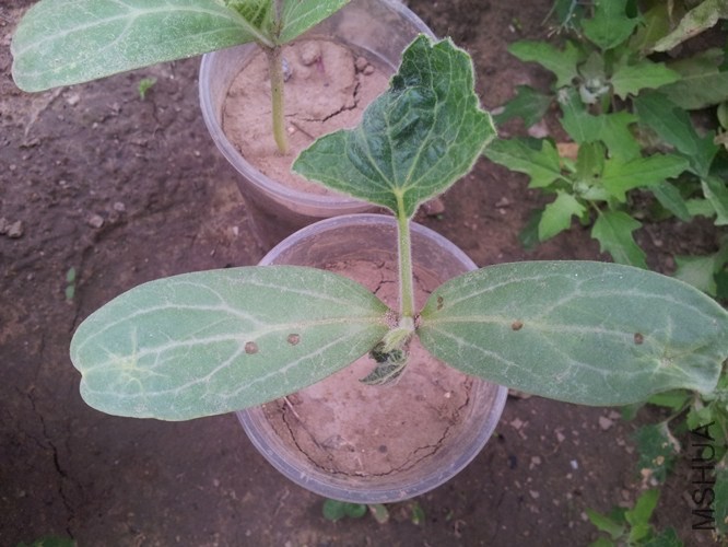 5��2�վ���