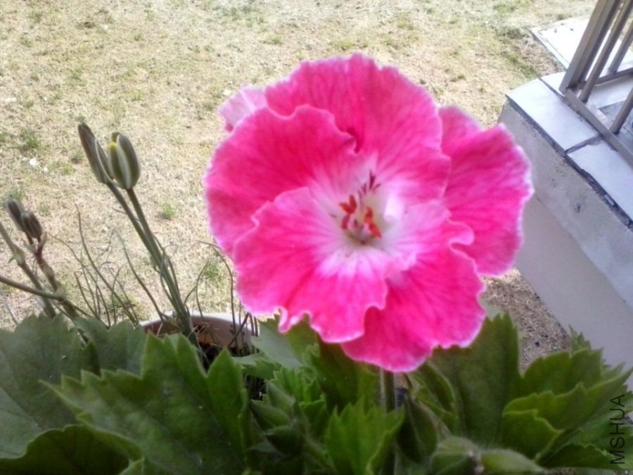 QQͼƬ20140503150737.jpg