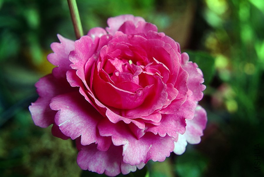 DSCF0622.jpg