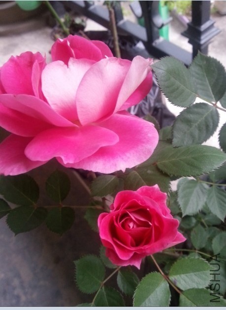 QQͼƬ20140503204236.jpg