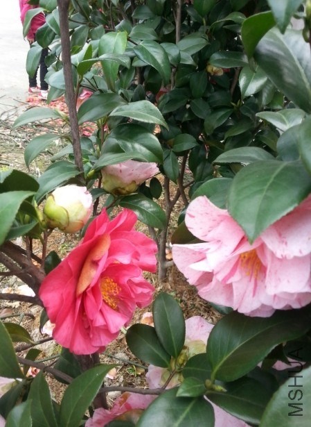 �ڶ���һ������������ɫ