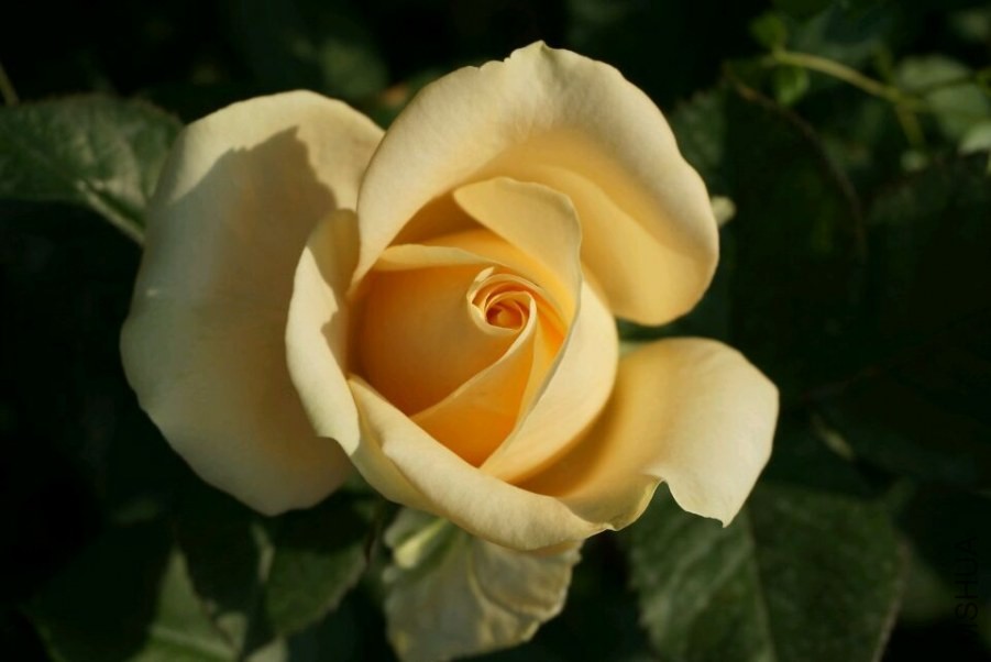 QQͼƬ20140503212005.jpg