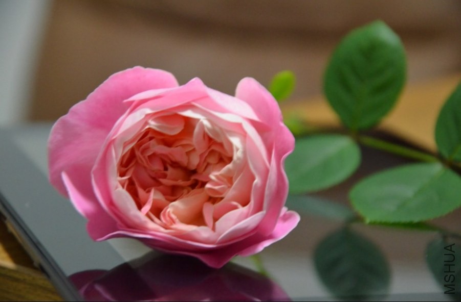 QQͼƬ20140503223747.jpg