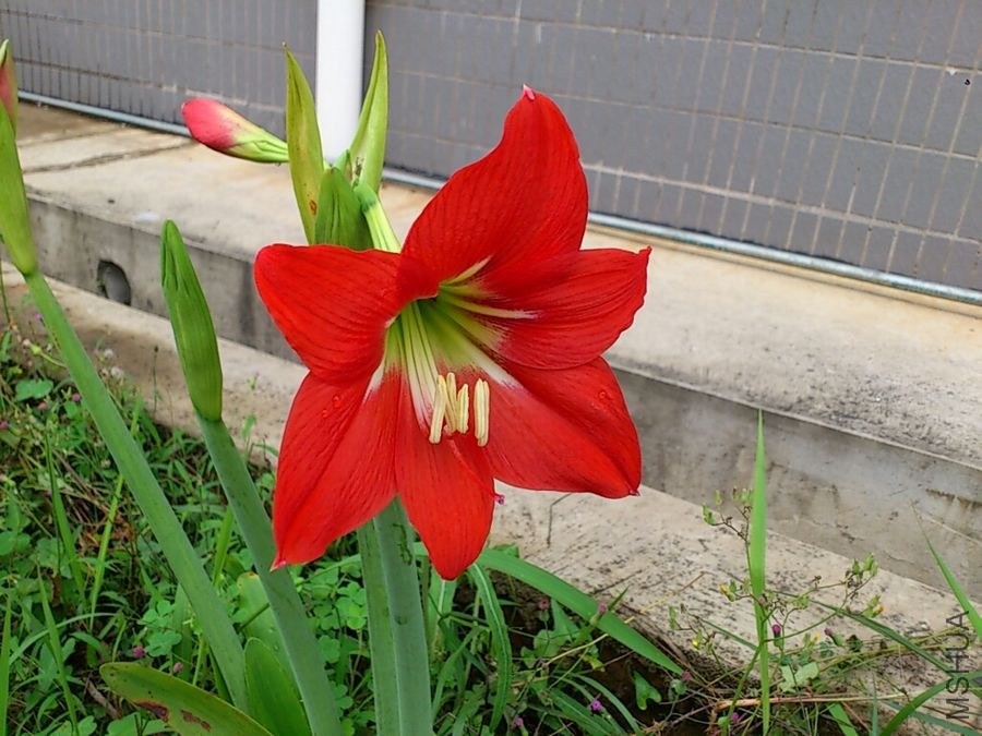 nEO_IMG_CYMERA_20140410_104021.jpg