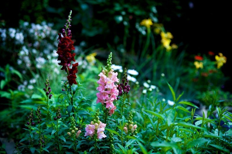 ������С SPR_8789 (1).jpg