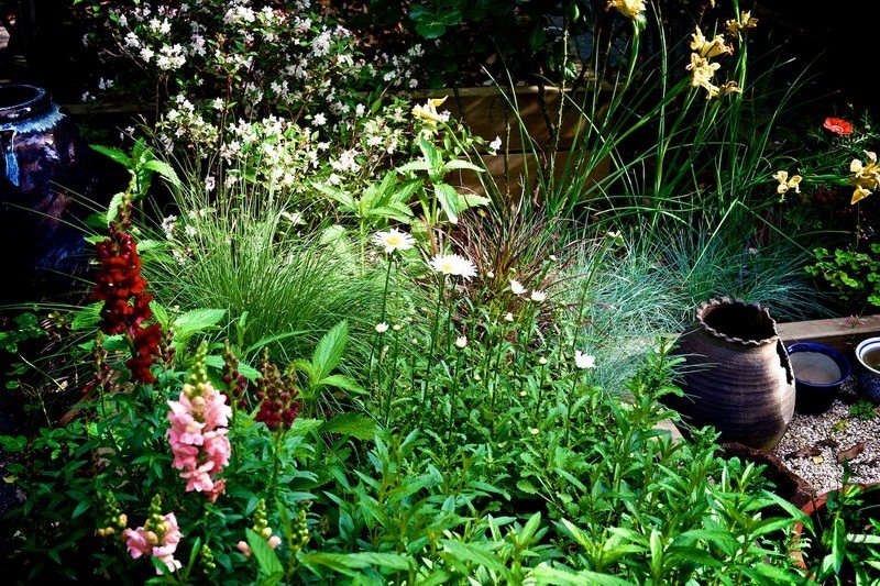 ������С SPR_8785.jpg