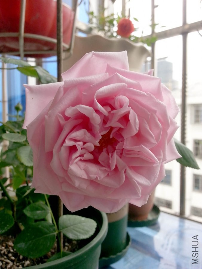 20140503_072301-s.jpg