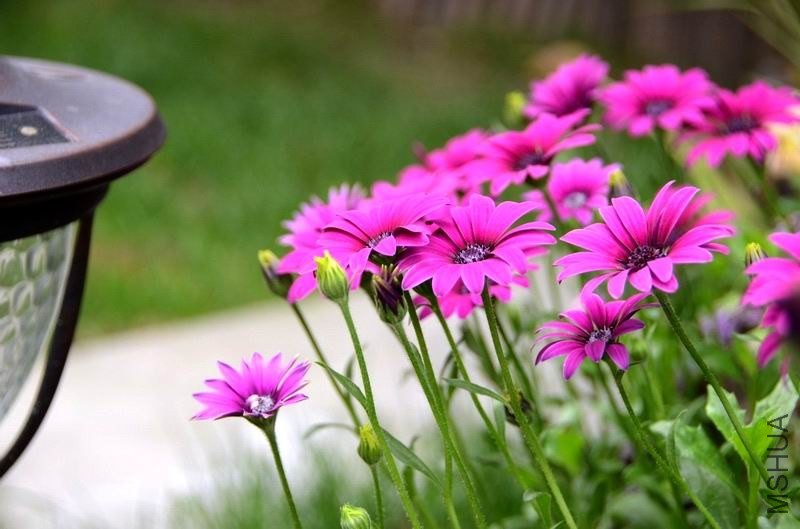 �����ع� ������С USA_0503.jpg