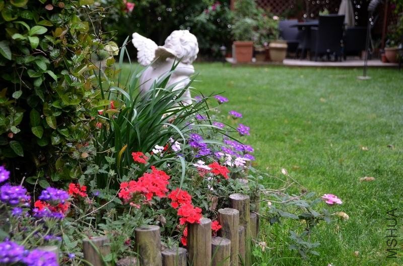 �����ع� ������С USA_0524.jpg