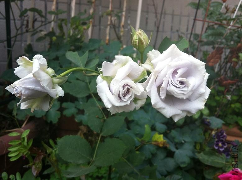 ��2.jpg