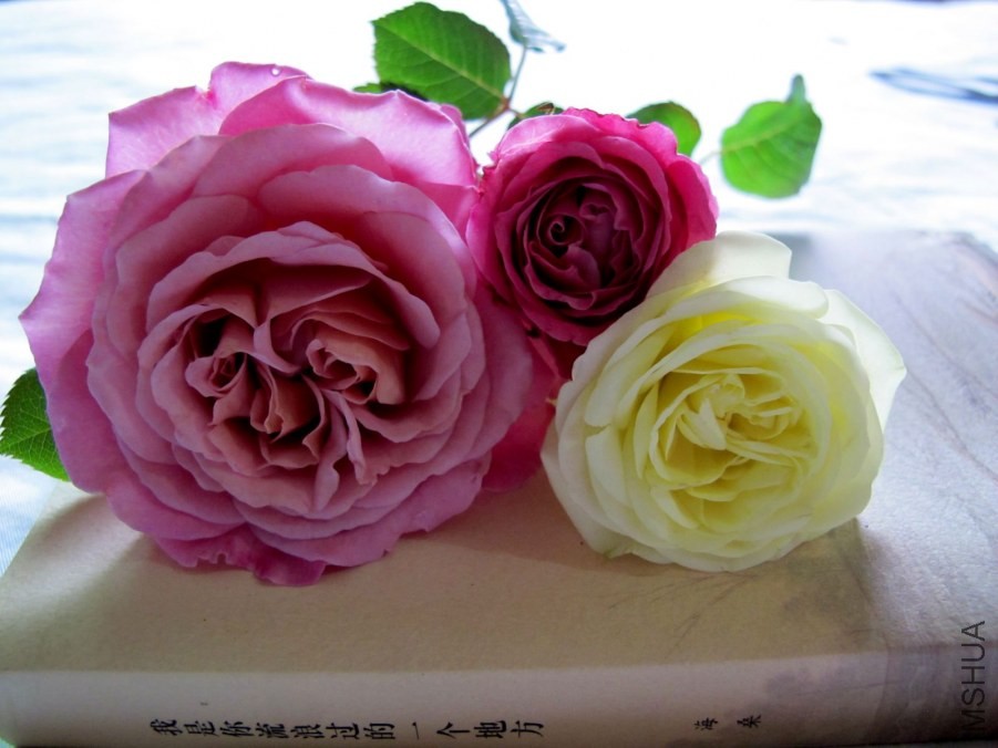 ��Ƭ3 019_����.jpg