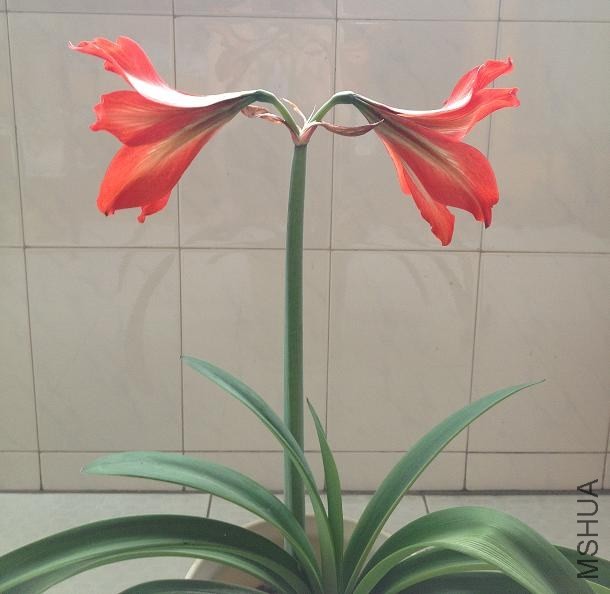 ���� 2014.05.03a.JPG