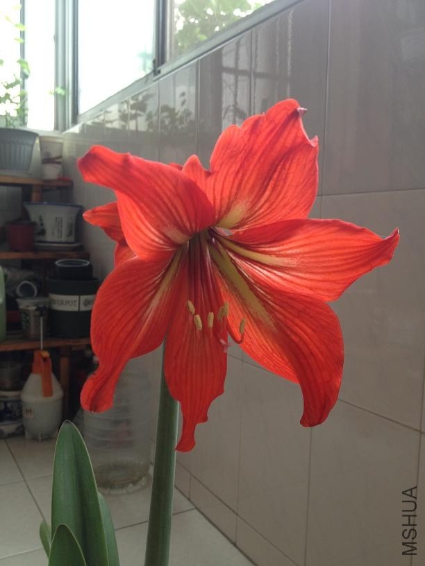 ���� 2014.05.03b.JPG