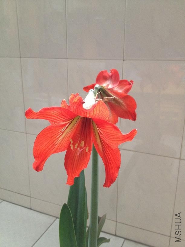 ���� 2014.05.04.JPG