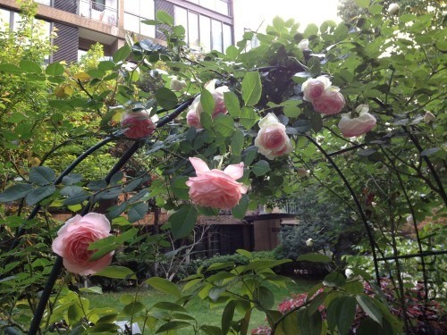 ��ͷ����ͷ��������ʹ�డ