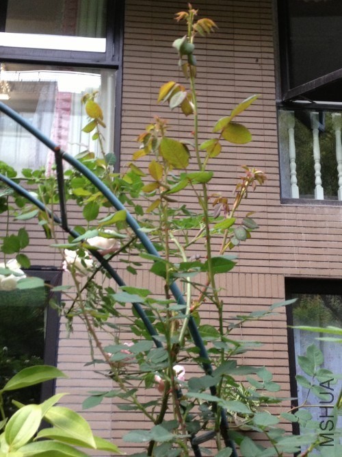 һ�����꣬���񱬷����ٶȼ������ۿɼ�������Ҳ�����������ͷ�����Ǳ����Ľ��డ