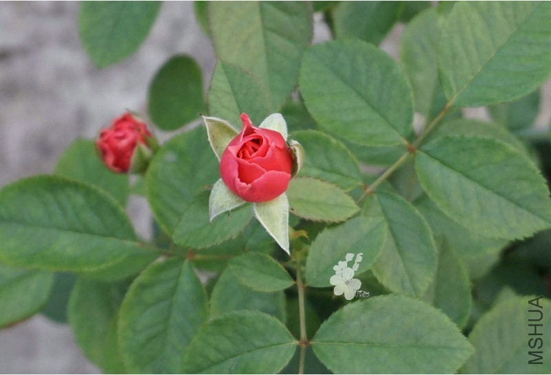 QQͼƬ20140504.jpg