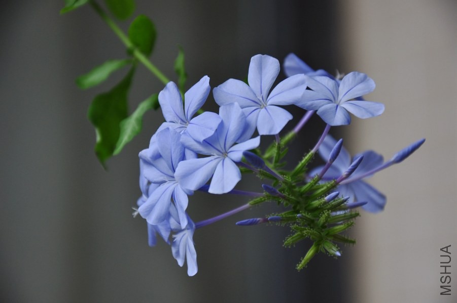 DSC_4646_����.jpg
