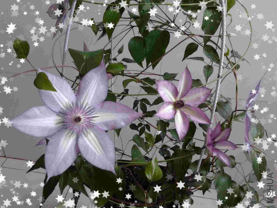 2014-05-02 11.19.47(1).jpg