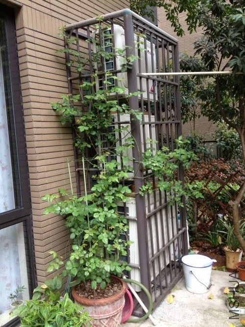 3����ѿ����