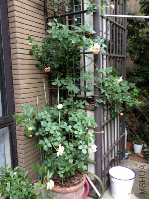 �����ܹ���60�������