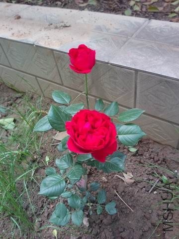 ������С ��ת P40502-101435.jpg